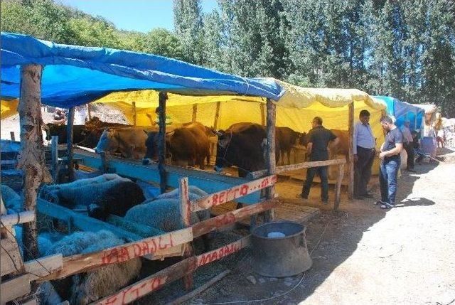 Tokat’ta Kurban Satışları Hareketlendi