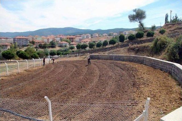 Akdağmadeni İlçesinde Salep Yetiştiriciliği İçin İlk Salep Ekimi Yapıldı