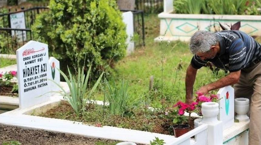 Başiskele&rsquo;de &Ccedil;evre D&uuml;zenleme &Ccedil;alışmaları Devam Ediyor