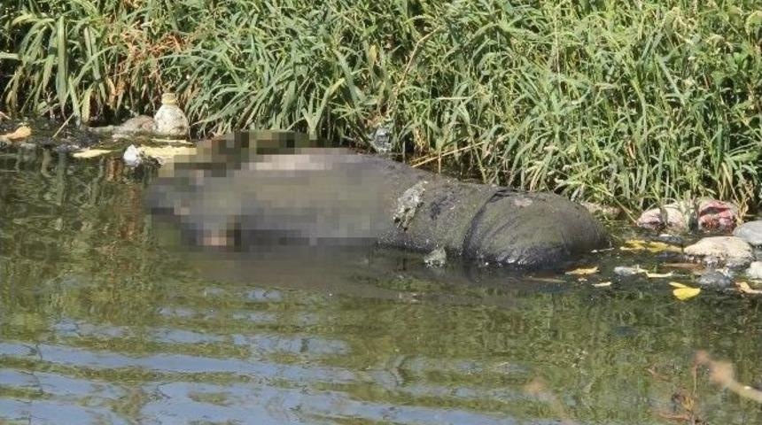 İzmir&rsquo;de Dere Yatağında Ceset Bulundu