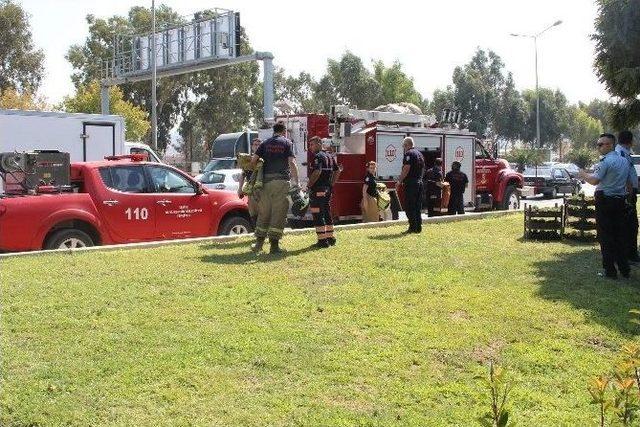 İzmir’de Dere Yatağında Ceset Bulundu