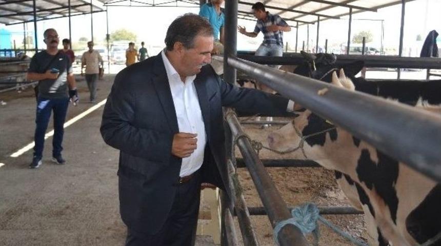 Başkan Avcu&rsquo;dan Vatandaşlara &rsquo;kurban&rsquo; &Ccedil;ağrısı