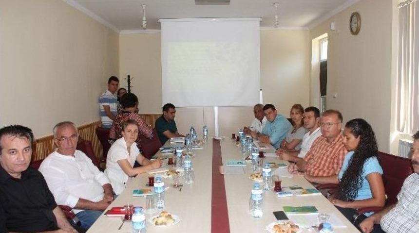 Bartın Kestane Balında Organik &Uuml;retim &Ccedil;alışması