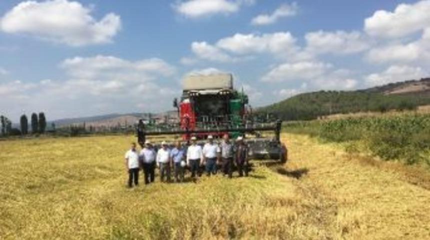 G&ouml;nen&rsquo;de &Ccedil;eltik Hasadı T&ouml;renle Başladı