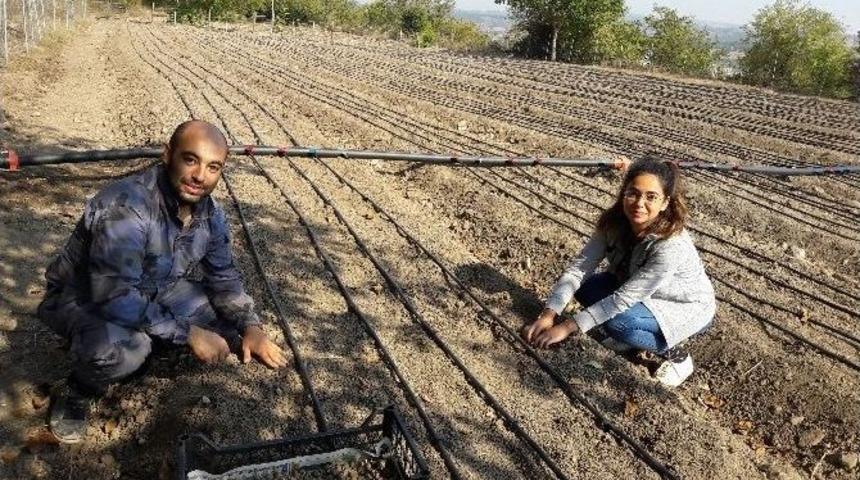 Bilecik&rsquo;te Salep Orkidesi Yumrularının Ekimi Yapıldı