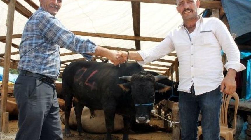 Yalova&rsquo;da Kurbanlık Kalmadı