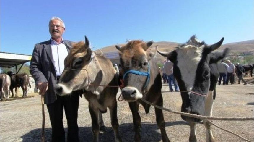 Kurban Kesimine İzin Verilecek Alanlar Belli Oldu