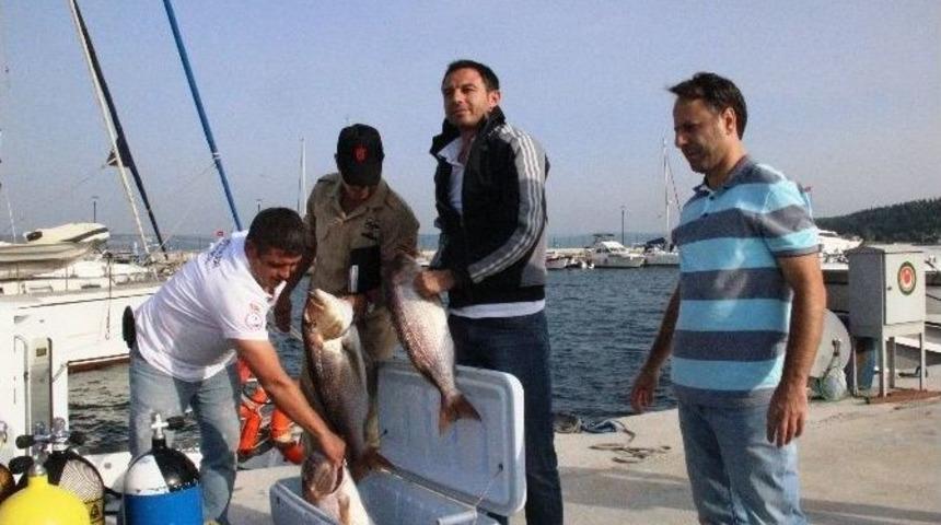 Ka&ccedil;ak Avcılığa Su&ccedil;&uuml;st&uuml;