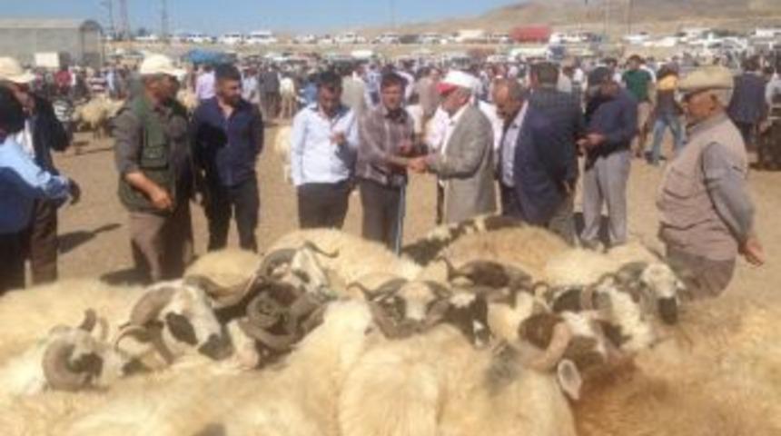 Van&rsquo;da Kurban Bayramı Hazırlığı