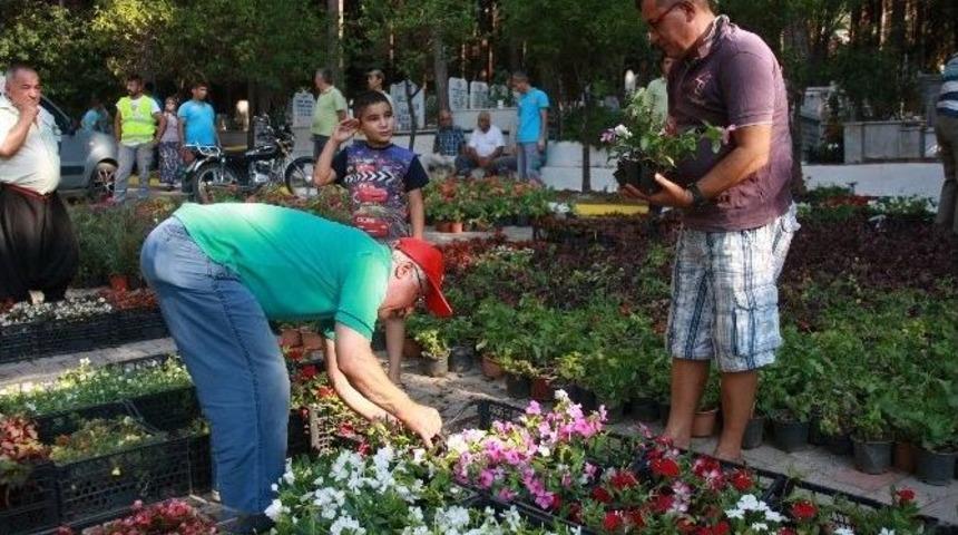 Alanya Belediyesi, Mezarlıklarda Çiçek Dağıtıyor