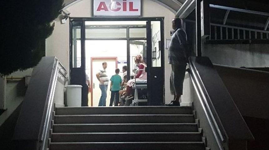 Zonguldak&rsquo;ta Eşek Arısının Soktuğu Kişi Hayatını Kaybetti