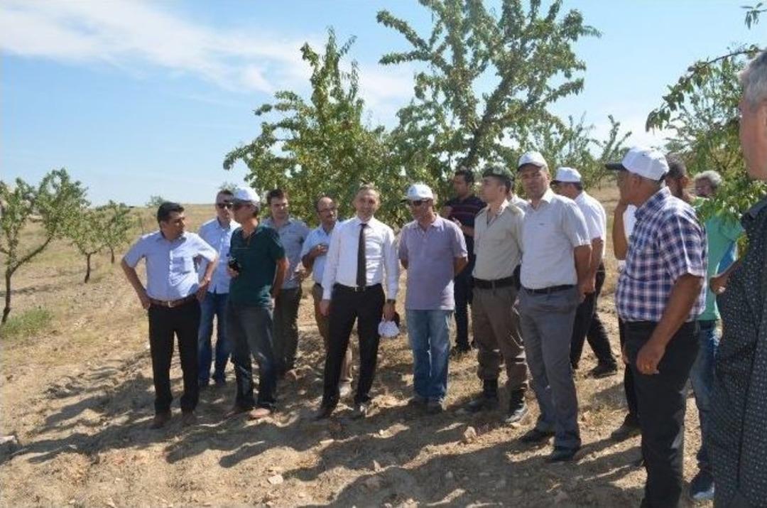 Tarla Okulları Eğitimi Devam Ediyor