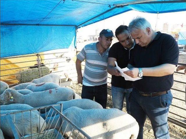 Zabıtadan Turgutlu’da Huzur Ve Güvenlik Önlemleri