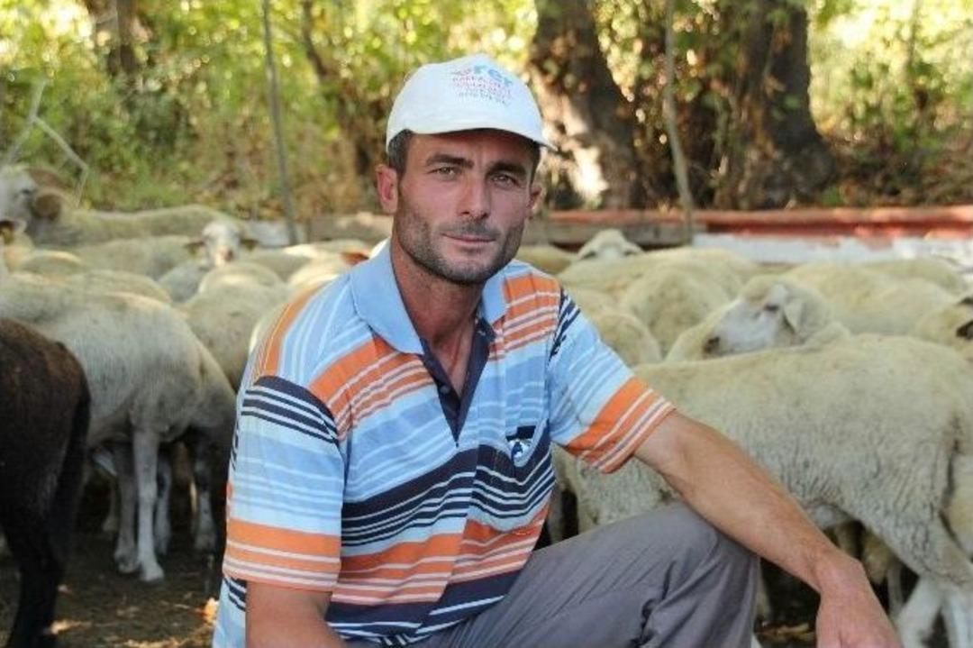 Hayvan &Uuml;reticileri: &ldquo;kurban Bayramı&rsquo;nda K&uuml;&ccedil;&uuml;kbaş Hayvan Tercih Edilmeli&rdquo;