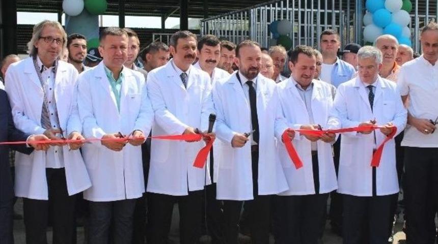 İzmit Modern Hayvan Pazarı T&ouml;renle A&ccedil;ıldı