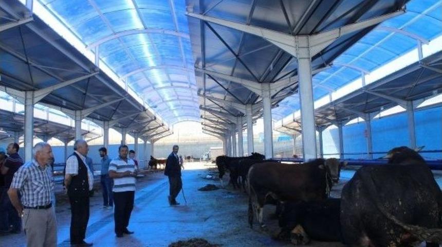 Niğde Bayrama Hazır