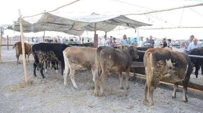 Meram&rsquo;da Bayram Mesaisi