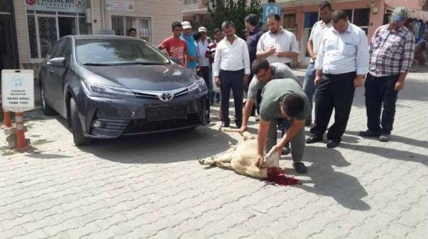 Pazarlar Belediyesi&rsquo;ne Yeni Makam Aracı