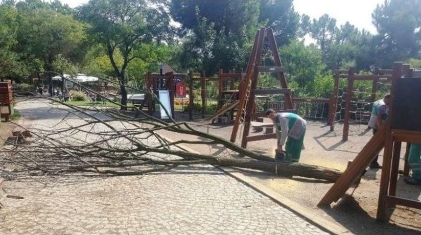 İzmit&rsquo;te Bayram Hazırlığı S&uuml;r&uuml;yor