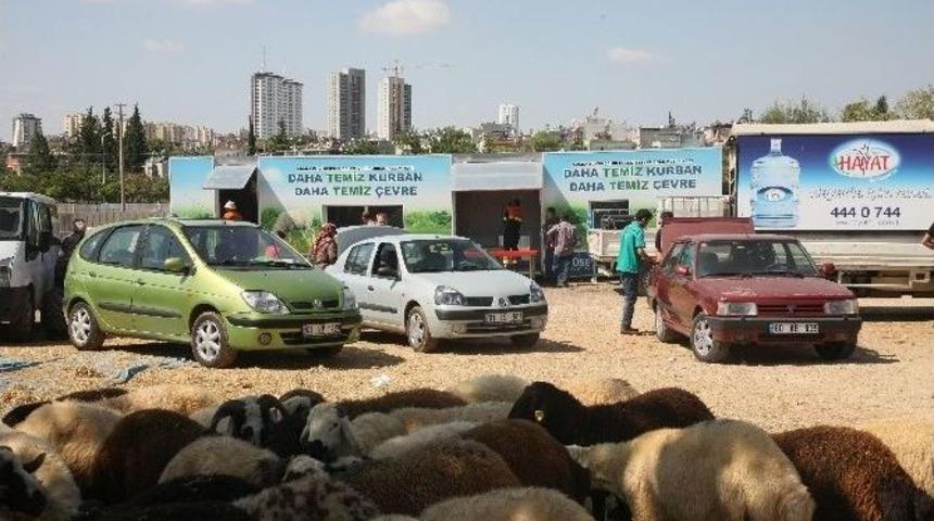 Adana B&uuml;y&uuml;kşehir, 3 İl&ccedil;ede 5 Merkezde Kurban Kesin Hizmeti Verecek