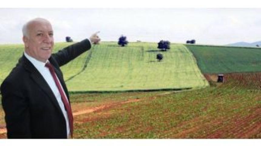 Marmaraereğlisi&rsquo;nde 16 Adet Tarım Arazisi Kiraya Verildi