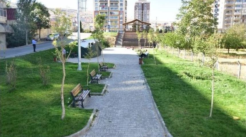 G&uuml;rkan, Şelale Parkta İncelemelerde Bulundu