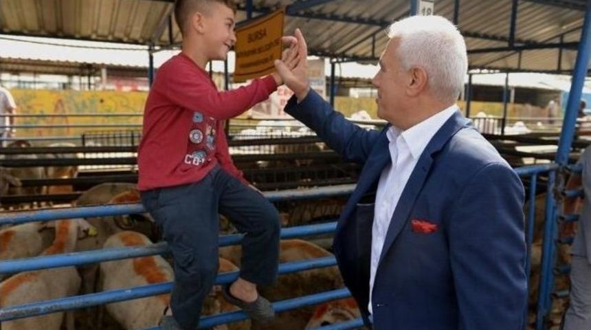 Nil&uuml;fer Bayrama Hazır