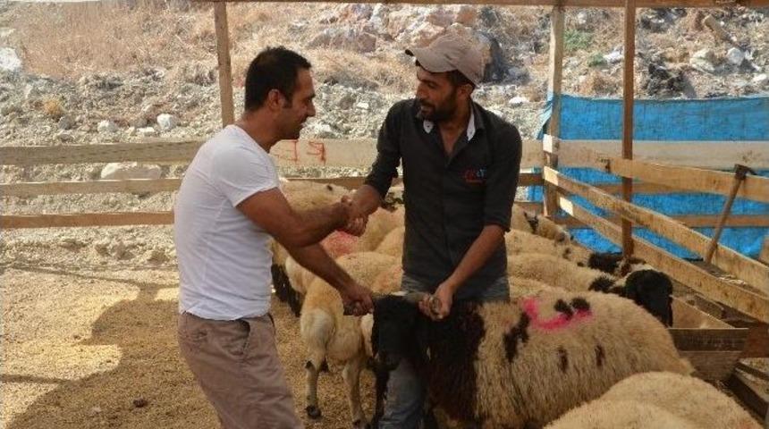 Kuşadası&rsquo;nda Kurban Bayramı Hazırlıkları Tamamlandı