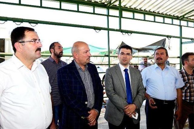 Genel Sekreter Ercan Turan Canlı Hayvan Pazarında İncelemelerde Bulundu 3