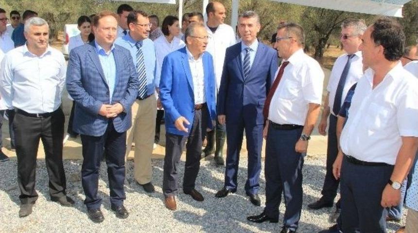 Mobil Mezbaha&rsquo;da İlk Kesim Oldu