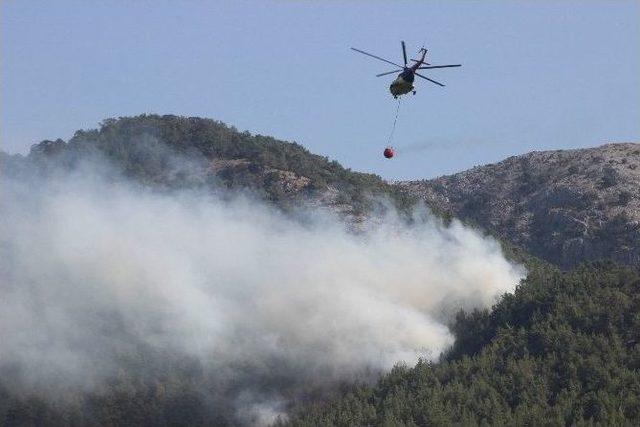 Ormancı Türküsü’nün Yakıldığı Gevenes’te Orman Yangını