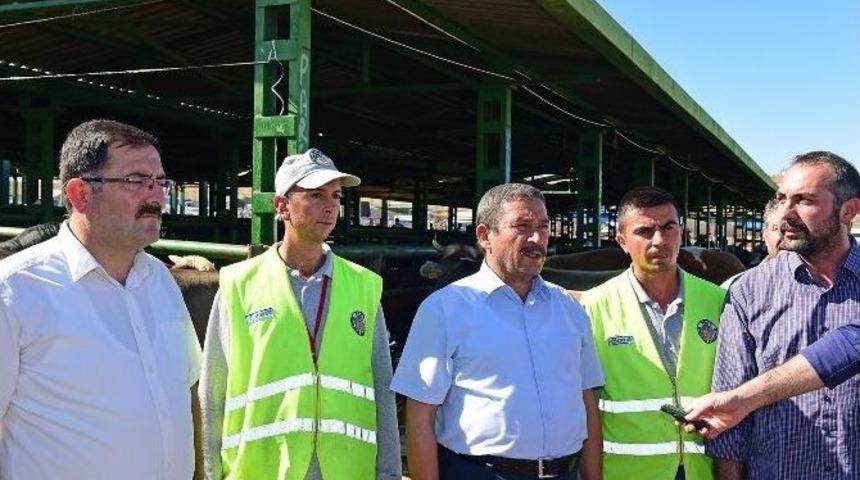 Canlı Hayvan Pazarı&rsquo;nda İla&ccedil;lama &Ccedil;alışmaları Devam Ediyor