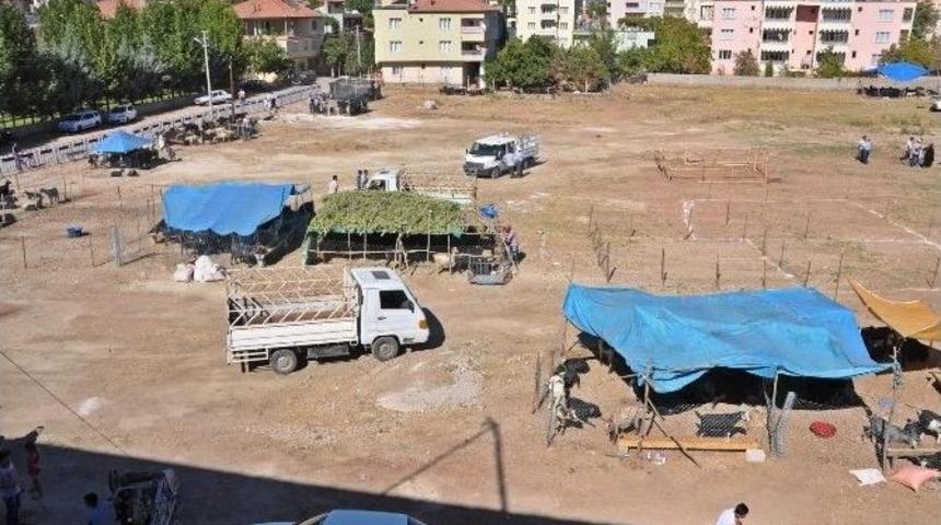 G&ouml;lbaşı Belediyesi Kurban Bayramı Hazırlıklarını Tamamladı