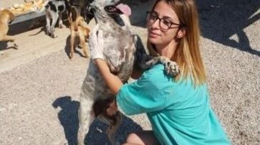 Sokak Hayvanları İ&ccedil;in Yemek Pişirdiler