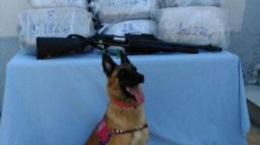 Hatay&rsquo;da 61 Kilo Kubar Esrar Ele Ge&ccedil;irildi