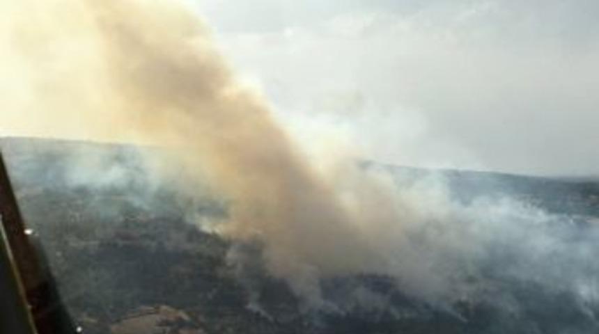 Denizli&rsquo;de Yaklaşık 10 Hektar Ormanlık Alan K&uuml;l Oldu