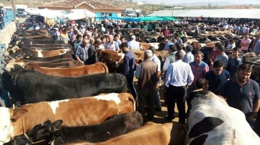Vezirk&ouml;pr&uuml;&rsquo;de Kurban Pazarı Hareketlendi