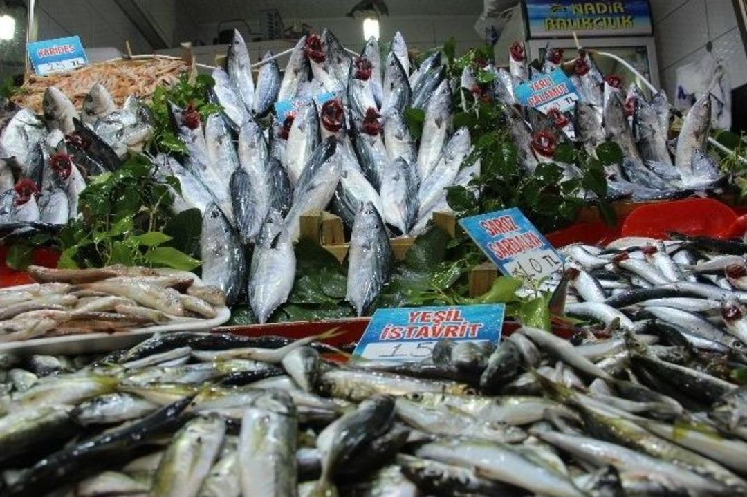 Balık&ccedil;ılar Satışların Artması İ&ccedil;in Bayram Sonrasını Bekliyor