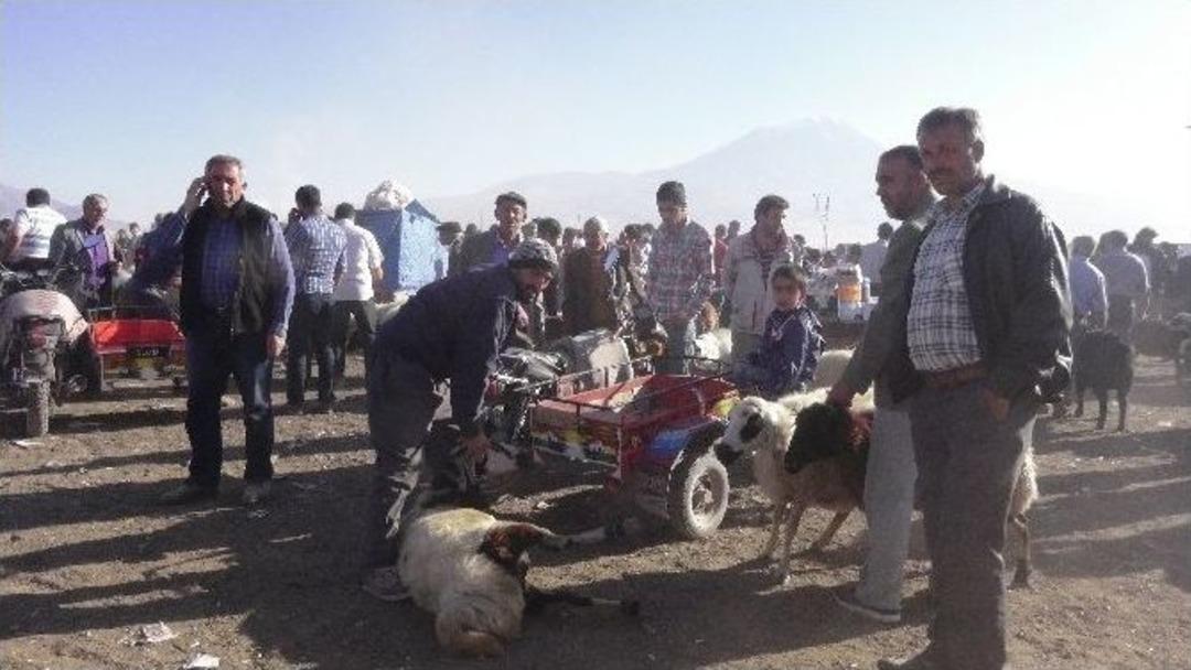 Doğubayazıt&rsquo;ta Kurbanlık Satışları Devam Ediyor
