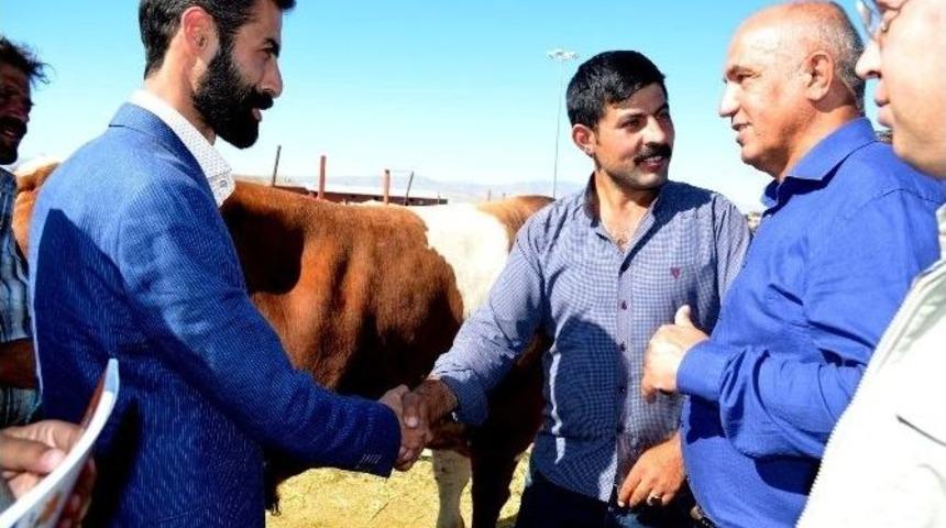 Ilıcalı, Kurban Pazarının Nabzını Tuttu