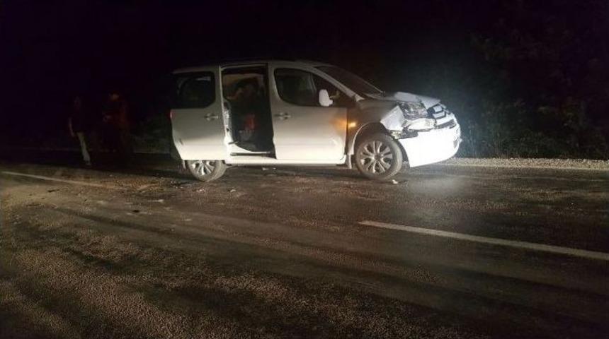 Domuz S&uuml;r&uuml;s&uuml; Kazaya Neden Oldu