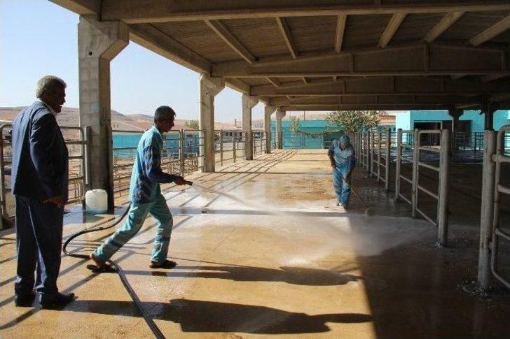 Eyyübiye Belediyesi Kurban Bayramına Hazır G4