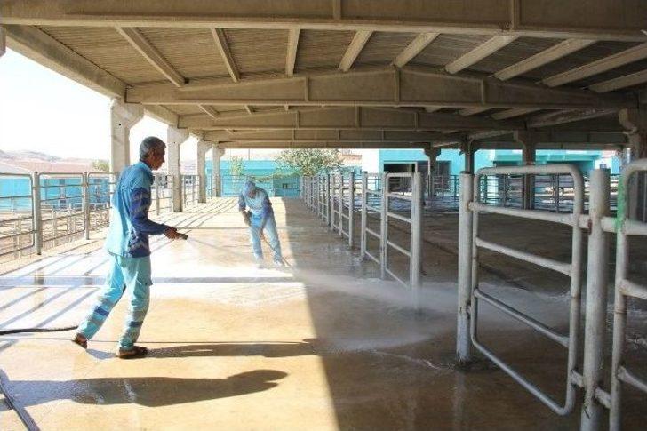 Eyyübiye Belediyesi Kurban Bayramına Hazır G5