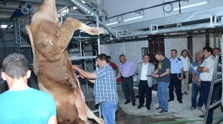 Darende’ye Yeni Yapılan Mezbahanede İlk Kesim Yapıldı