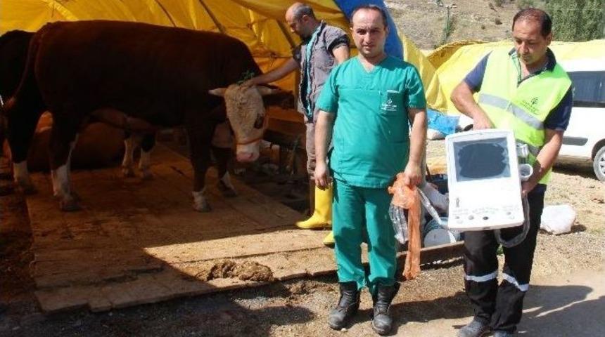 Çankaya Kurban Bayramı’na Hazır