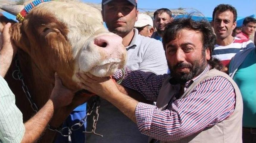 Kurbanla Selfie 5 Tl