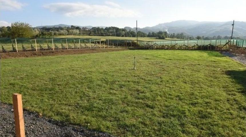 Tekkek&ouml;y Belediyesi 6. Geleneksel Yağlı G&uuml;reşlere Hazır