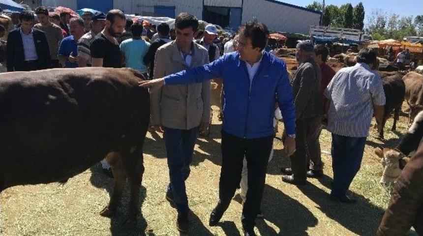 Aydemir, &rsquo;canlı Hayvan Borsası B&uuml;y&uuml;k İhtiya&ccedil;&rsquo;