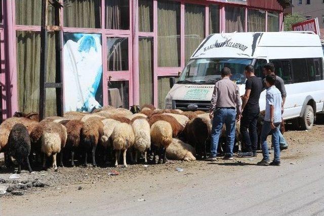 Ağrı’da Bayram Alışverişi