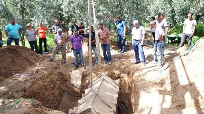 Zeytinlikten Lahit Fışkırıyor